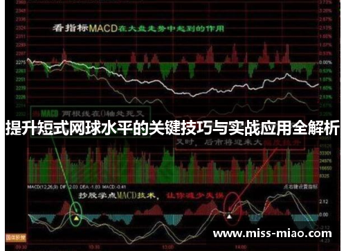 提升短式网球水平的关键技巧与实战应用全解析