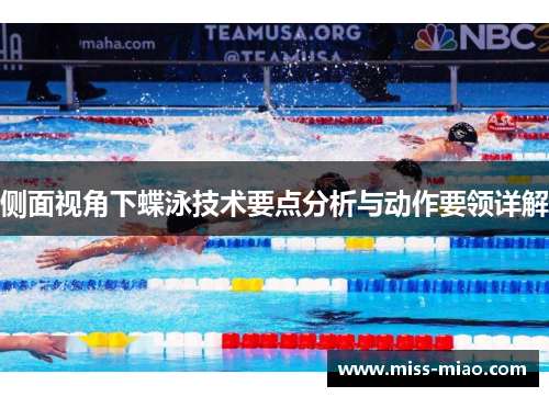 侧面视角下蝶泳技术要点分析与动作要领详解