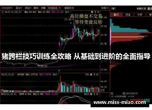 猪跨栏技巧训练全攻略 从基础到进阶的全面指导