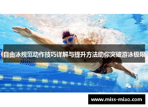 自由泳规范动作技巧详解与提升方法助你突破游泳极限