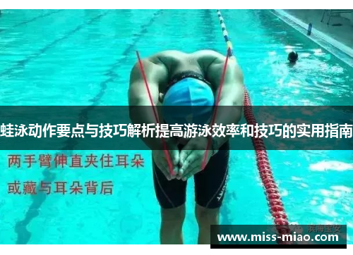 蛙泳动作要点与技巧解析提高游泳效率和技巧的实用指南