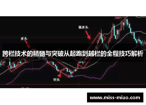 跨栏技术的精髓与突破从起跑到越栏的全程技巧解析