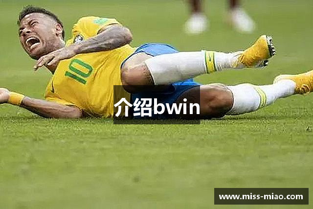 介绍bwin